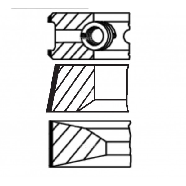 213RS100130N0 MAHLE Поршневые кольца DAF